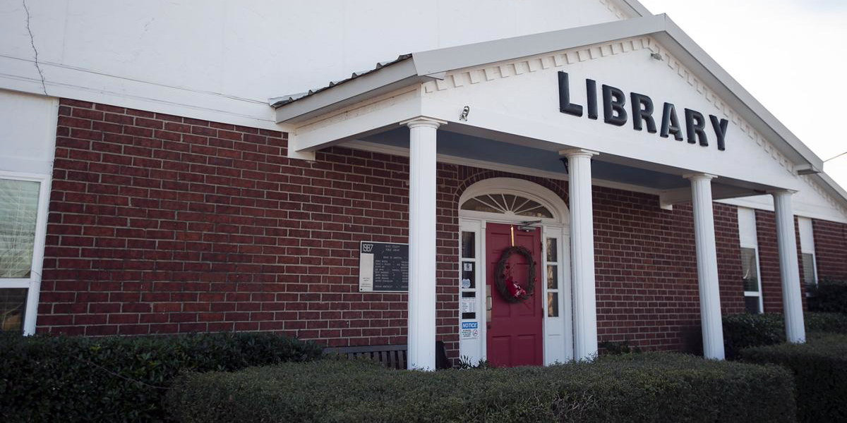 Local library hosts Aviation Allies exhibit – Rains County Leader